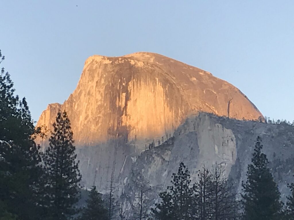 Scenic view of Yosemite National Park valley with granite cliffs and pine trees